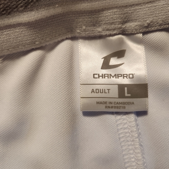 CHAMPRO Men' Standard Adult Triple Crown Knicker Sz L - Picture 2 of 8